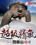 男主角江枫女主角宫映雪章节列表