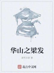 华山之梁发章节列表