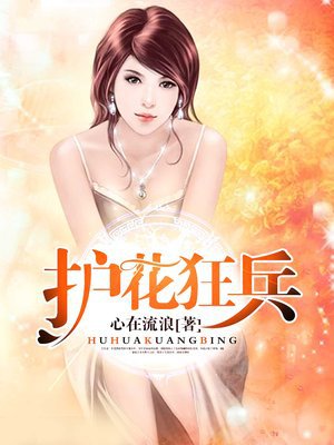 护花狂兵章节列表