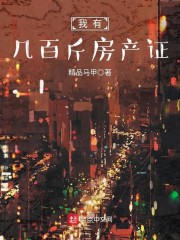 我有几百斤房产证章节列表