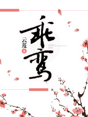 乘鸾章节列表