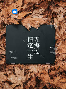 一胎二宝沈蔓歌章节列表