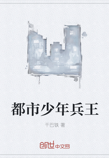 都市少年兵王章节列表