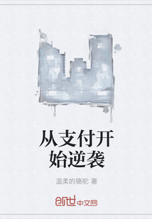 从支付开始逆袭章节列表