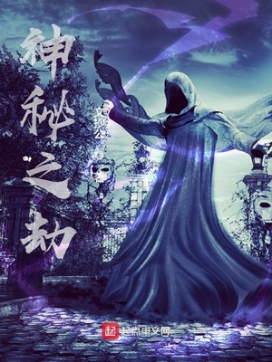 神秘之劫章节列表
