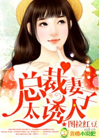 总裁妻子太诱人章节列表